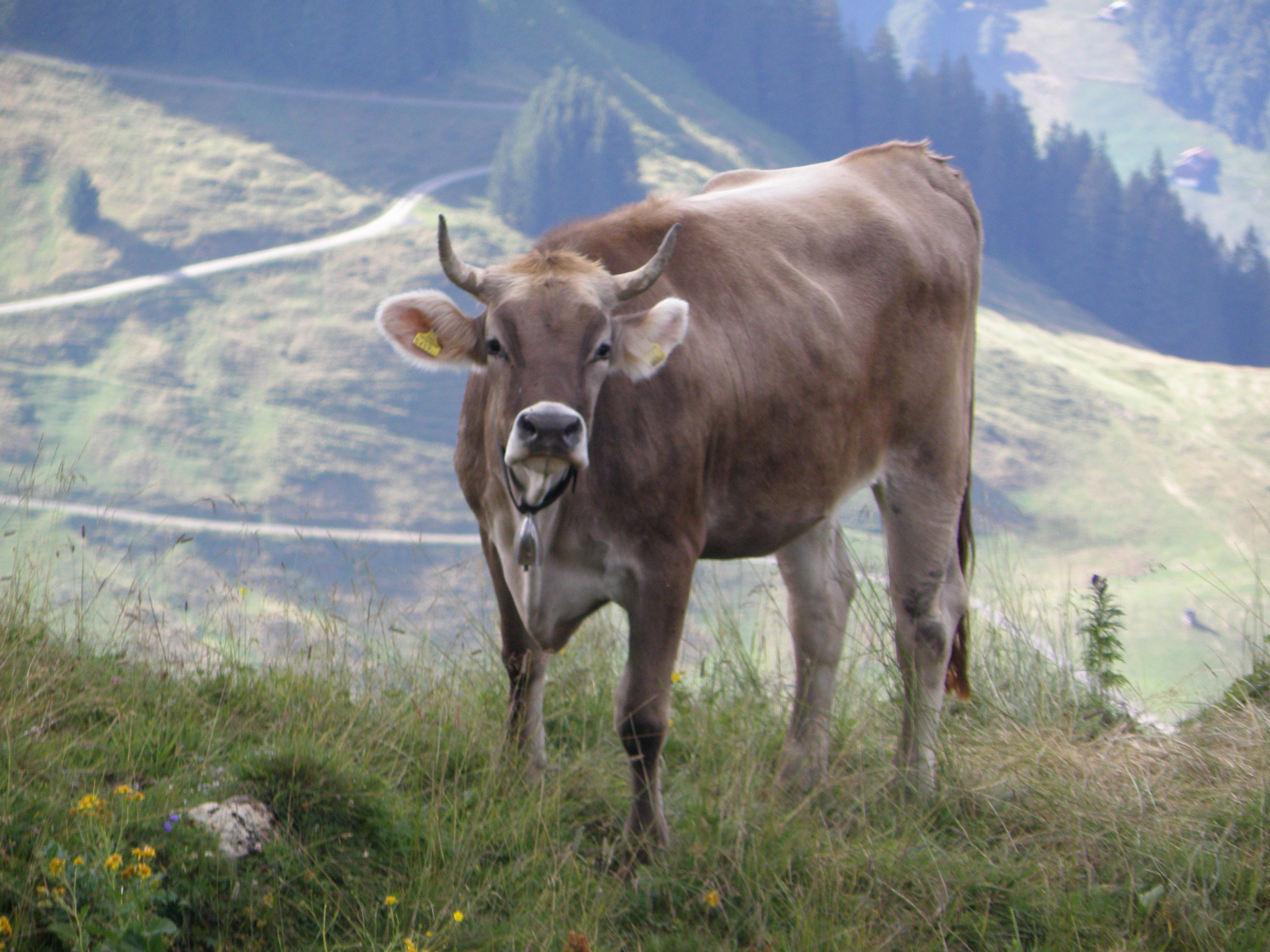 Rundwanderweg Körbersee Körbersee